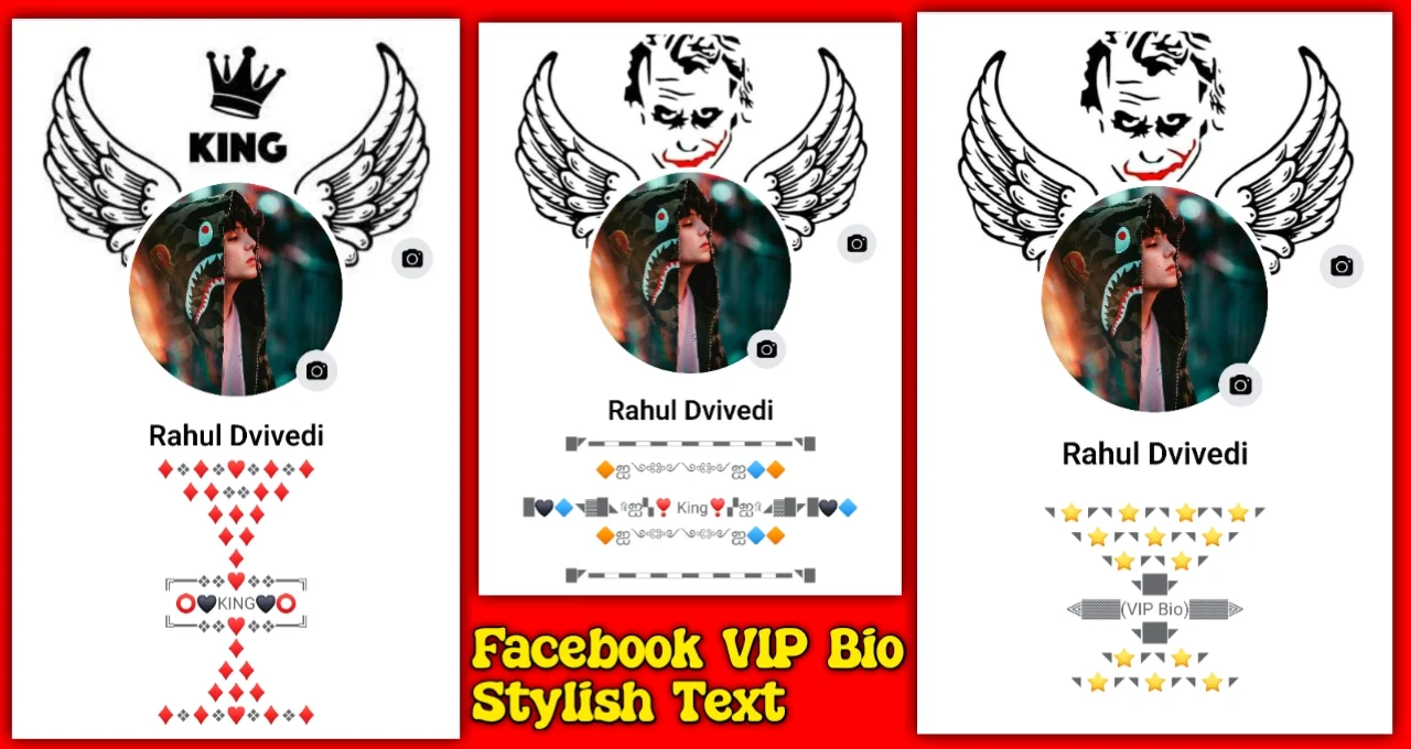 Facebook VIP Account Stylish Bio