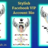 Stylish FB VIP Account Bio Text copy and Paste 2022